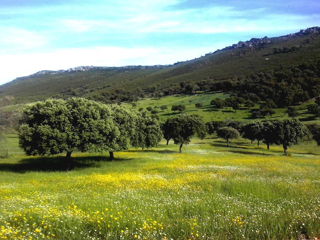 Casa Rural La Sierra De Monfraguee Malpartida De Plasencia Ngoại thất bức ảnh